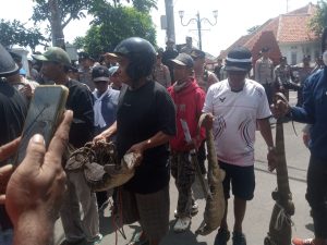 IMG-20260430-WA0009(1)