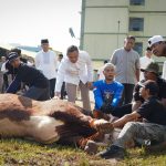 Pangdam Jaya Hadiri Sholat Idul Adha dan Serahkan Hewan Kurban Secara Simbolis di Makodam Jaya