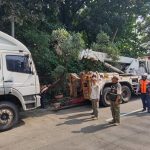 Operasi Gabungan Satpol PP dan Dishub Jakarta Timur Amankan Dua Truk Parkir Liar di Cipayung